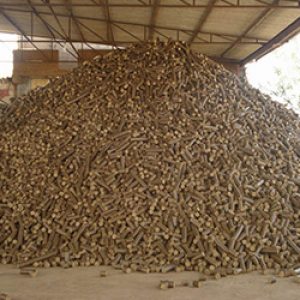 Biomass Briquetting Exporter