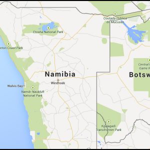 briquetting plant supplier namibia