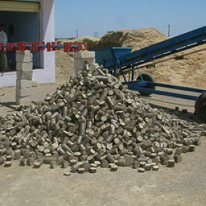 Briquetting Sscrew Conveyor in india